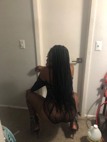 Tampa Pleasure-Only Female Escort — No Bare or Anal - 1