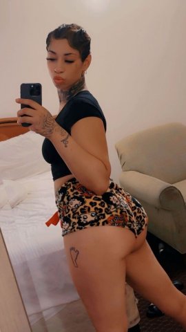 Indianapolis IN Female Escort — INcall verification, no negotiation on rates - 1
