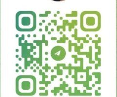 Asian Female Escort — Full Service (Incall/Outcall/Car Fun) + Video Sex/Chat - Image 6