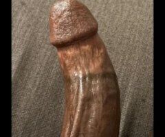 Dallas escorts - Dallas Mature NSA Fun Outcalls — Oral Sex