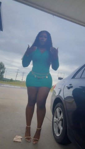 Chicago Female Escort — Outcalls & Incalls, No Anal/Bare - 1