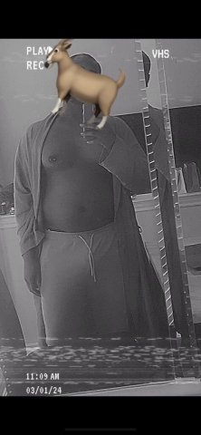 Dallas Male Escort — Throat-Only & Massages (Text for Daily Deals) - 1