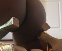 North Jersey escorts - Star (27) — In-Calls Only
