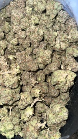 ⛽ Gas On Deck — New Flavors, Great Prices - 1