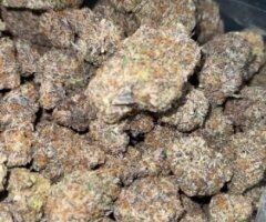 ⛽ Gas On Deck — New Flavors, Great Prices - Image 2