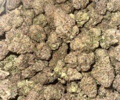⛽ Gas On Deck — New Flavors, Great Prices - Image 3