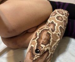 San Antonio Femboy Escort — Blow n' Go & Full Service - Image 4