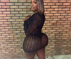 Dymond (Tampa) — Incalls, Outcalls, Overnights & FaceTime Verification - Image 5