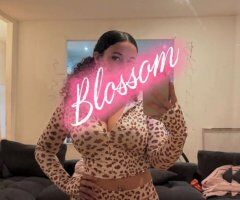 El Paso escorts - El Paso Female Escort — Outcall available, 23