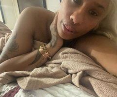 San Francisco escorts - San Francisco Female Escort — cheap outcall rates + car dates (deposit required)