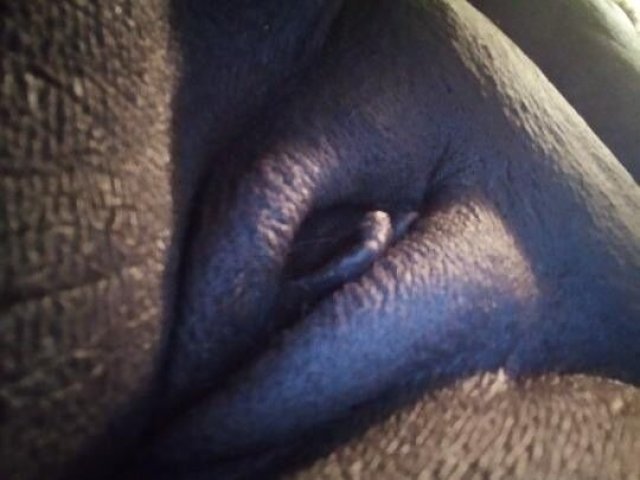 Fort Lauderdale Incalls & Outcalls — Head w/ Condom, No Lips Kissing, “Vibe” Sessions (Prices Listed) - 1