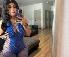 Incall/Outcall + CarFun with GFE, Doggy, Cowgirl (Face Sitting & 69) — Text (702) 356 9 2 08 - Image 4