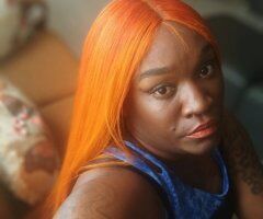 Lafayette LA Barbi Bouxgotti — The Cat with 9 Lives - Image 3