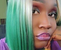 Lafayette LA Barbi Bouxgotti — The Cat with 9 Lives - Image 7