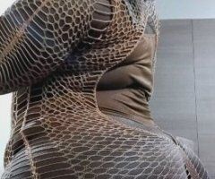 Lafayette LA Barbi Bouxgotti — The Cat with 9 Lives - Image 9