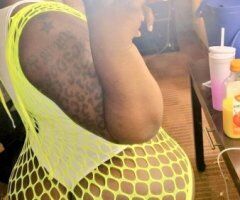 Lafayette LA Barbi Bouxgotti — The Cat with 9 Lives - Image 11