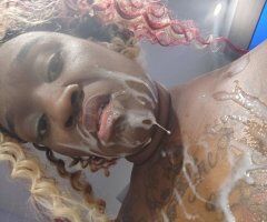 Lafayette LA Barbi Bouxgotti — The Cat with 9 Lives - Image 12