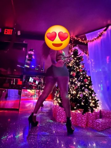 Desire — Sarasota Outcalls (Wed/Sun Only) - 1