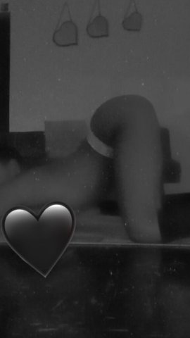 St. Louis Female Escort — massage options, BJ/QV/HHR + fetish requests - 1