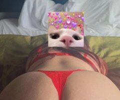 Lafayette, IN Latina Escort — Full oral y trio (1 hora), preservativos - Image 4