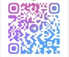 Ocala, FL Adult Video & Escort Services — Oral, Anal, Roleplay & BBJ - Image 7