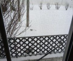 DMV Snow Storm Closure — Update from My OnlyFans - Image 3