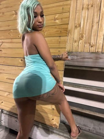 Houston Female Escort — Outcalls Only, No Lowballs (22) - 1