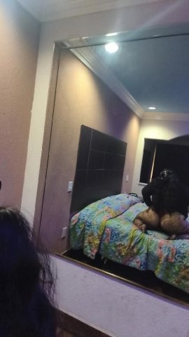 Houston TX 2 Latina Special — Thick & Thick BBWs (Overnight) - 1
