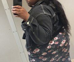 Tampa escorts - Tampa Female Escort — Outcalls + hotel meetups, no negotiation