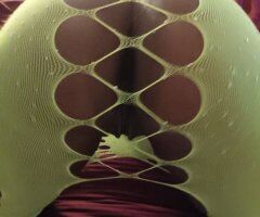 39+ Pillow Kitten Saturday Lapdance & Optional Massage - Image 6