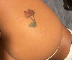 Harrisburg, Pennsylvania Popi — Mexican-speaking 28 with bareback - Image 3