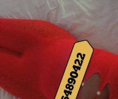 Jacksonville FL Cash Face-to-Face Female Escort (No Deposit, Outcalls) - Image 7
