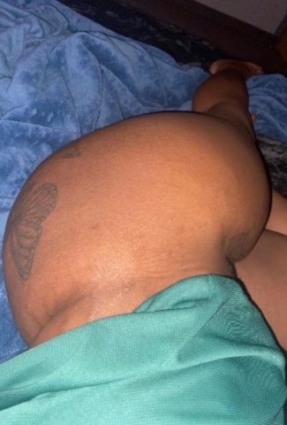 Denver Female Escort — all tongue, no teeth - 1