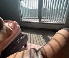 North Jersey escorts - North Jersey Female Escort — Outcall or Car Fun (BBJS, SS, HH)