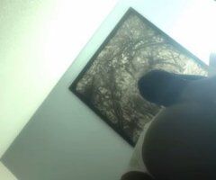Jacksonville escorts - Jacksonville FL Female Escort — Car Meets Only (21)
