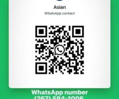 Wichita Asian Female Escort — In/Outcall, Anal & Fetish, Video Pics - Image 2