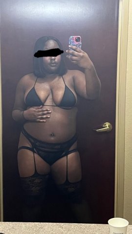 Downtown Dallas Chocolate Curvy Companion — Misty - 1