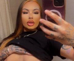 Stardae Incalls & Car Dates (Daytona) — Discreet Meets - Image 4