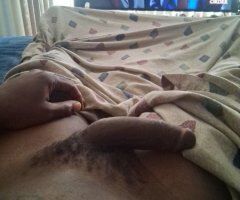 St. Louis escorts - St. Louis Hump Day Specials — for 1 or 2 people