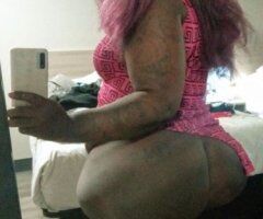 Lafayette escorts - Lafayette, LA Female Escort — Porn Star/FT Sessions (Barbi - 29)