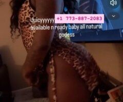 Chicago Upscale Playmate Escort — Nuru & Swedish Massage Sessions - Image 6