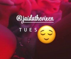 Chicago BBW Escort (Private Dancer) — Cardates, Fun, Snapchat/Twitter - Image 4