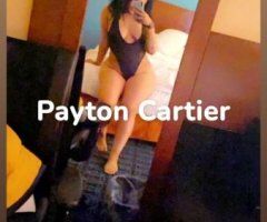 Payton in Washington D.C. — exclsive upscale hotel and residence outcalls - Image 5