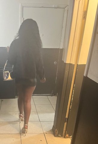 Tampa Female Escort — Upscale Outcall, 24 - 1