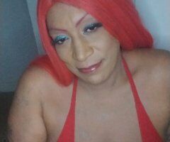 Sacramento escorts - Sacramento Female Escort — blowjob, creampie