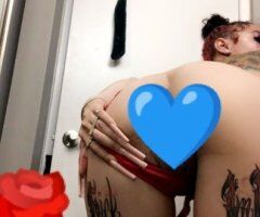 San Fernando Valley escorts - Northridge & Granada Hills SFV Female Escort (Incall + Outcall, 24/Video chat)
