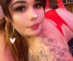 San Jose CA Escort Cashmere — Outcalls, Incalls & Cardates - Image 3