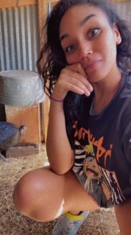 Lowell Female Escort — Message to chat face to face - 1