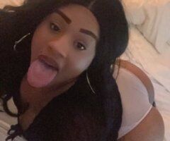 San Diego Female Escort — Outcalls & car fun (serious inquiries only) - Image 7