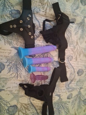 Tampa Female Escort — Incalls in a Private Largo Location - 1